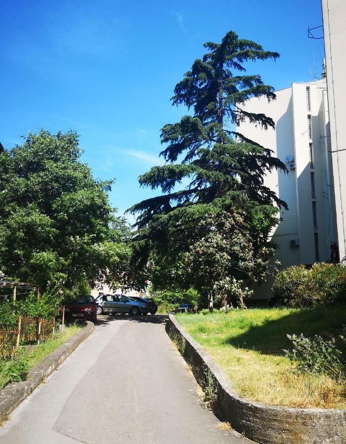 Apartman Emanuel 普拉 外观 照片